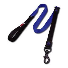 DOCO dog Leash Large Bungee Blue & black (120x2.5cm)