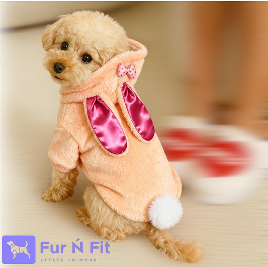 Pet Hoodie Sweater