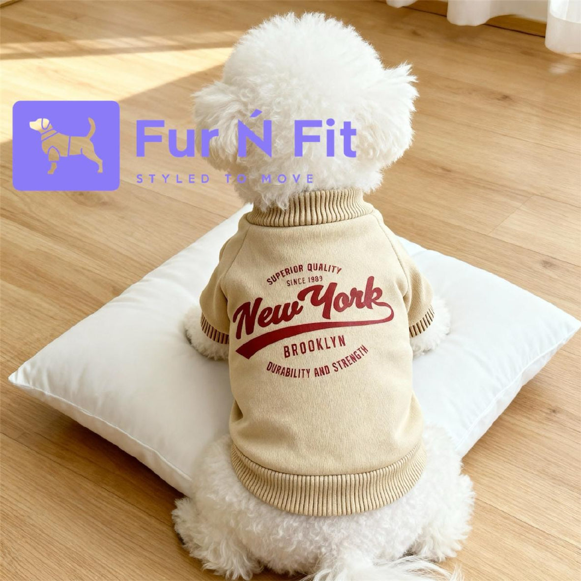 Pet Hoodie Sweater