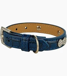 Naomi dog blue collar