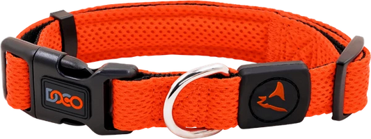 DOCO Athletica Medium Orange Mesh Dog Collar (34-49x2.5cm)